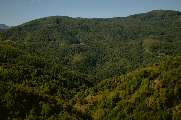 Inégalités Sociales et Protection Sociale : Défis et Perspectives Croisés