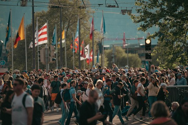 Découvrez les meilleures clôtures en bois pour votre jardin
