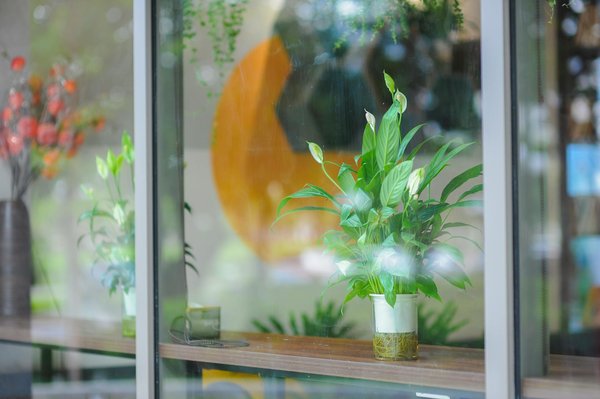 Croissance Démographique Étonnante : Effets Sur Notre Planète et Notre Avenir ?